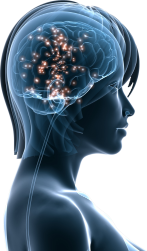 Recherche en Neurosciences Neurosciences prevention sante travail