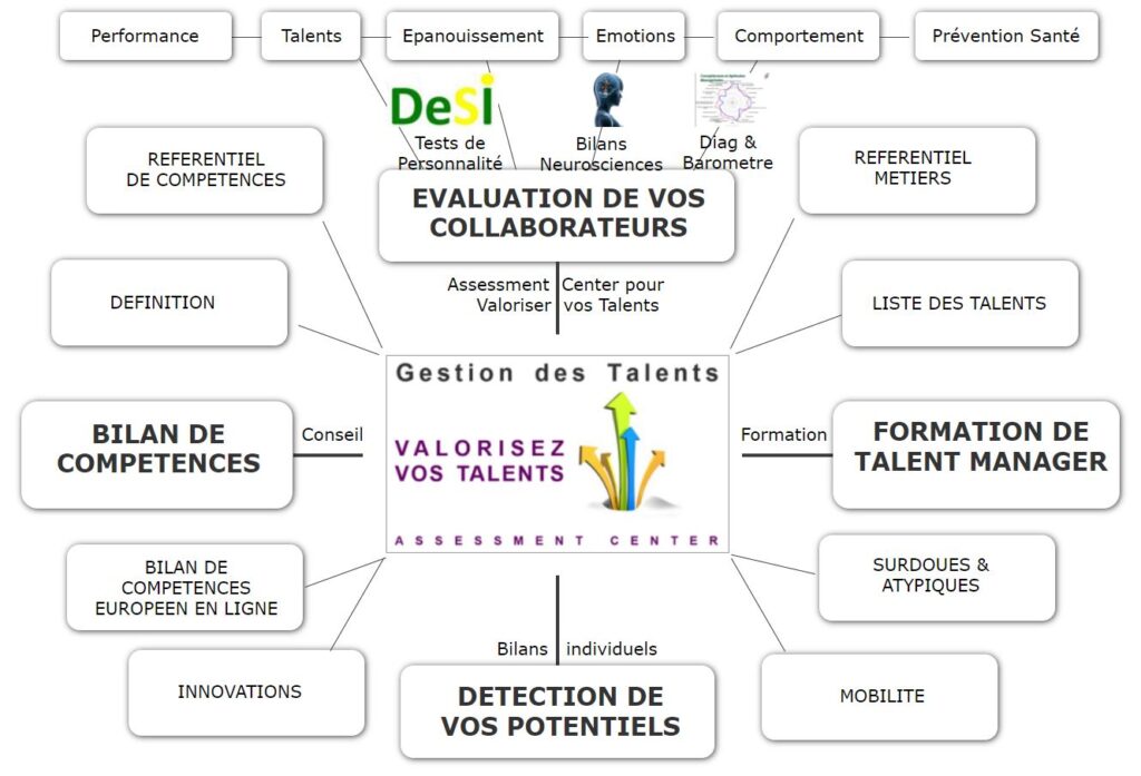 Gestion des Talents, Synoptique